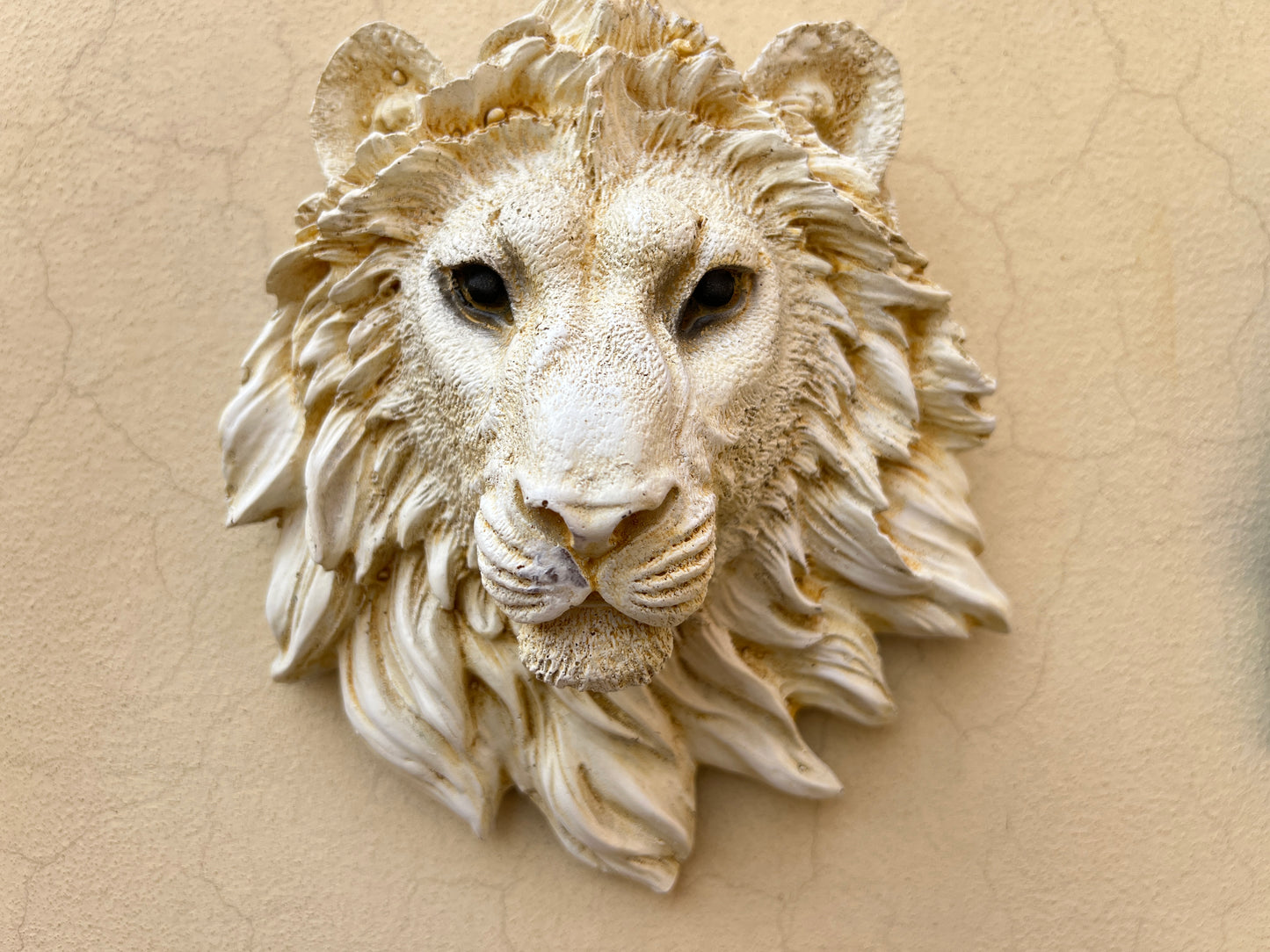 Leo Head Wall Ornament